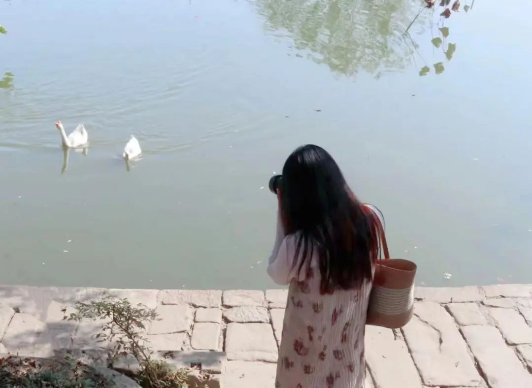 图片 图片
