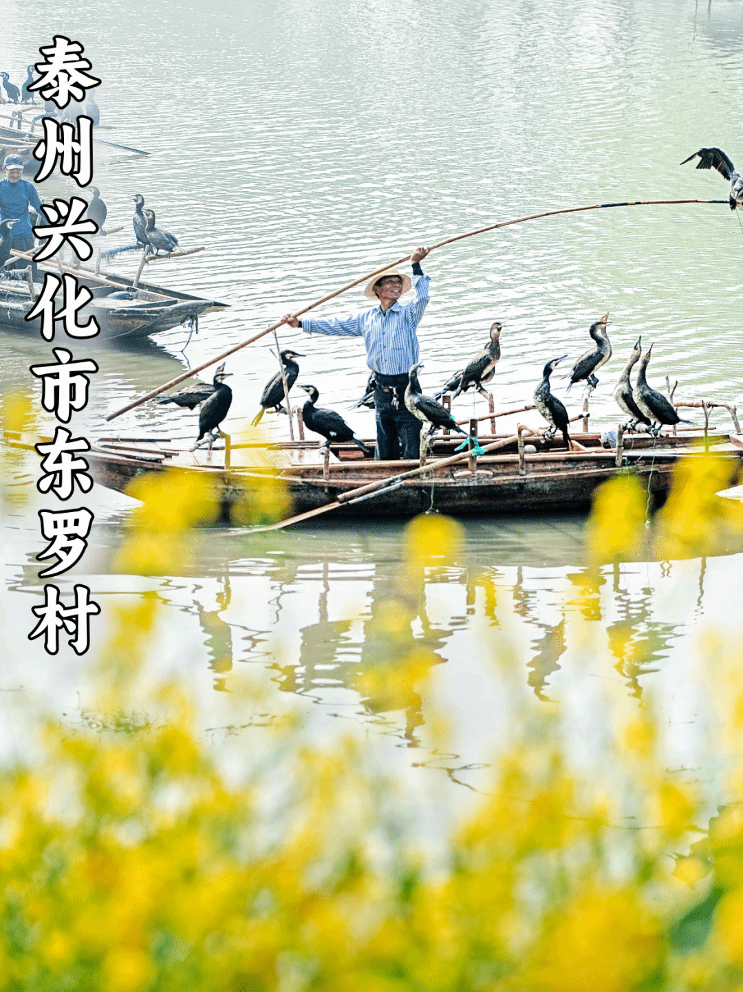 外院2.png