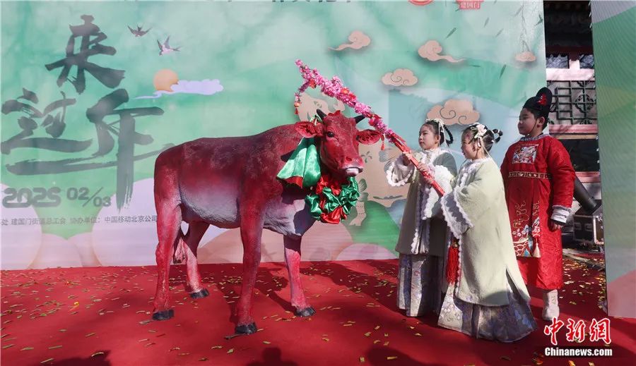 图片 图片