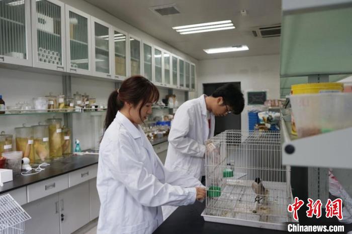 bat365正版唯一官网生命科学学院动物行为与保护团队在实验室。 被采访者供图 摄 bat365正版唯一官网生命科学学院动物行为与保护团队在实验室。 被采访者供图 摄