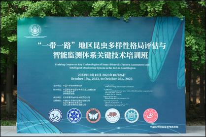 图片 2 图片 2