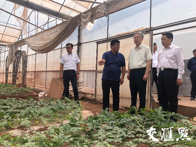现场考察农盛农业种植基地 现场考察农盛农业种植基地