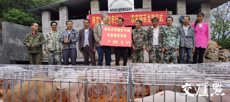 为和平村建档立卡贫困户发放猪苗领取牌 为和平村建档立卡贫困户发放猪苗领取牌